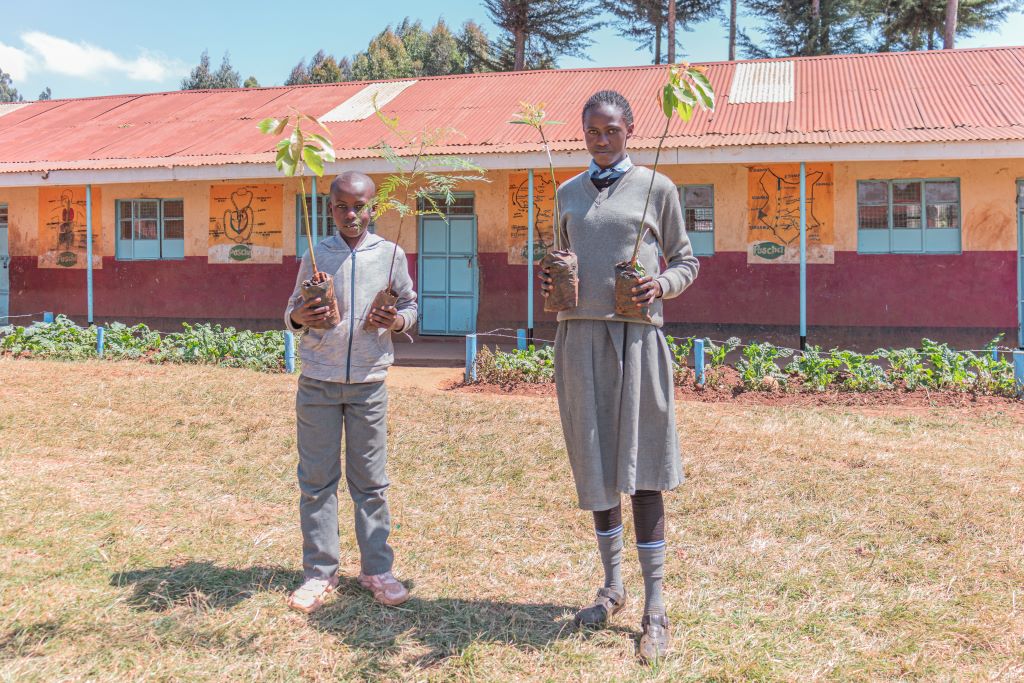 Nurturing the nurturers: Exploring synergies between environmental conservation and education in poor rural communities